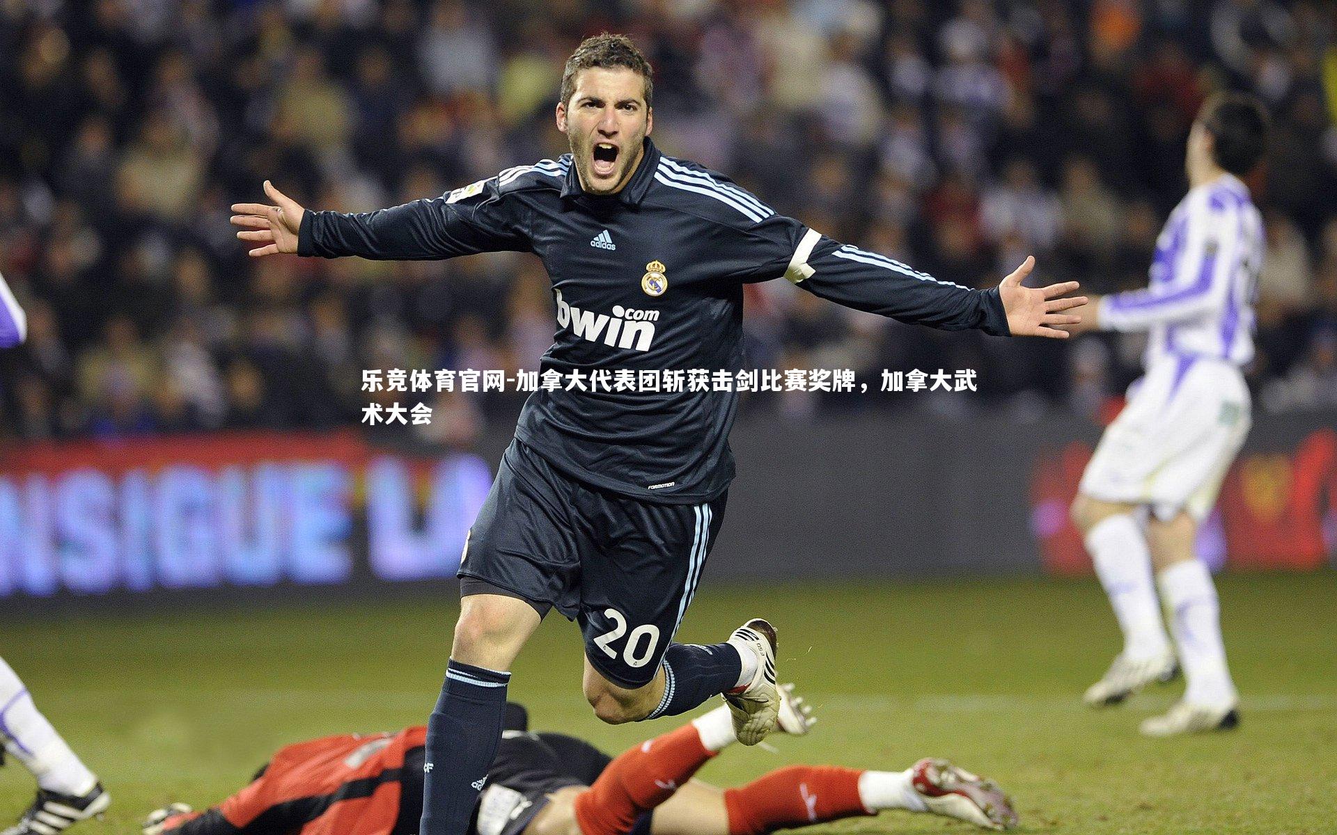加拿大代表团斩获击剑比赛奖牌，加拿大武术大会