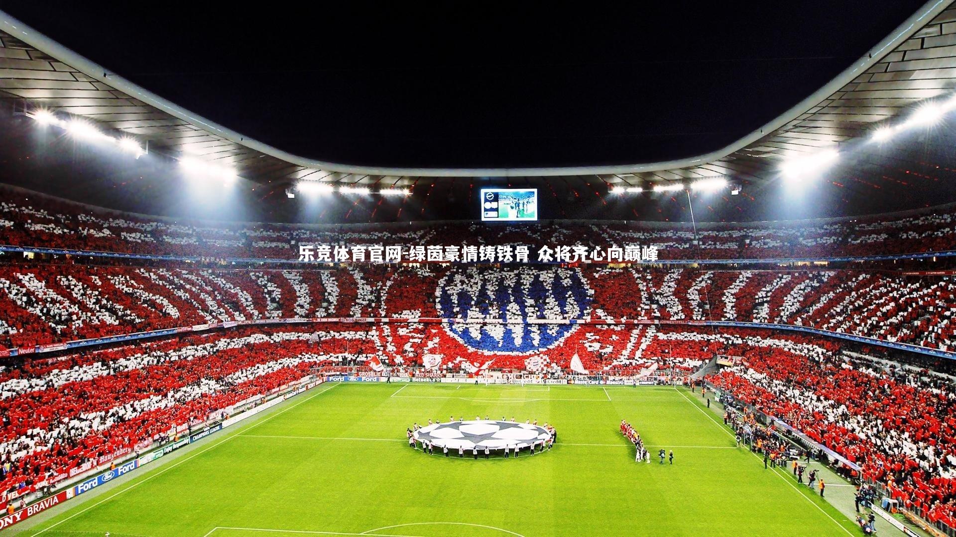 绿茵豪情铸铁骨 众将齐心向巅峰